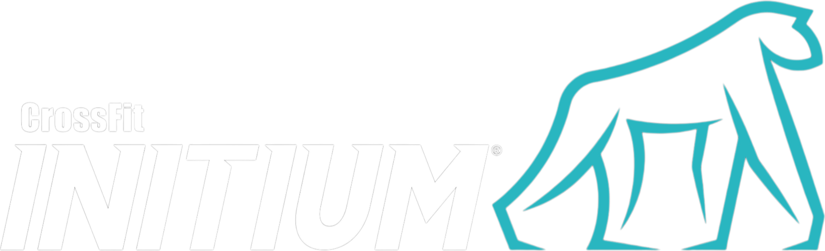 CrossFit Initium
